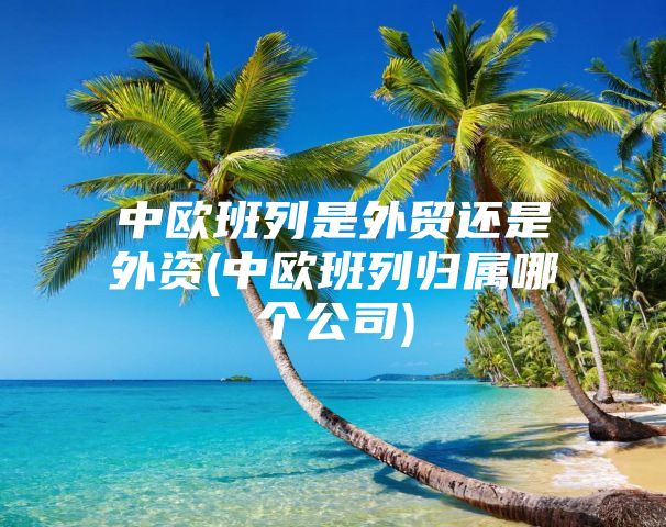 中欧班列是外贸还是外资(中欧班列归属哪个公司)