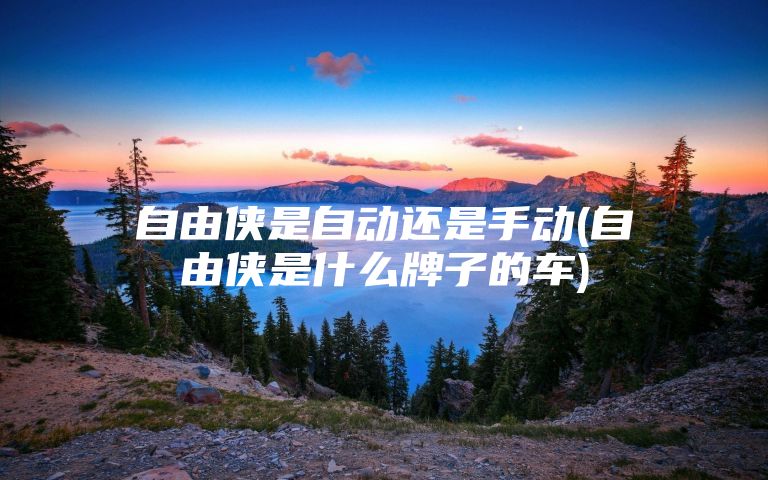 自由侠是自动还是手动(自由侠是什么牌子的车)