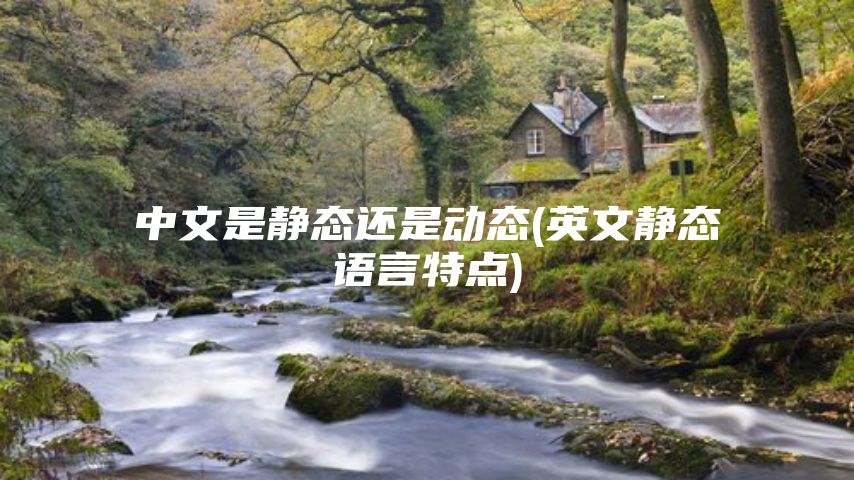 中文是静态还是动态(英文静态语言特点)