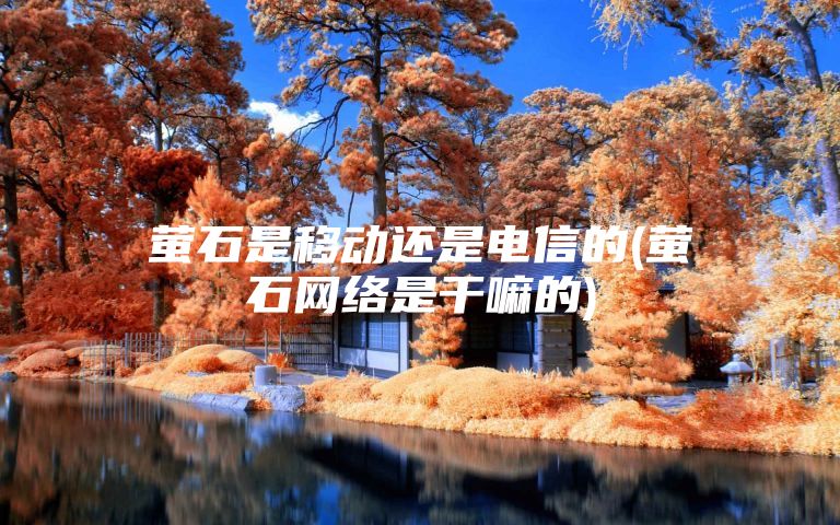 萤石是移动还是电信的(萤石网络是干嘛的)