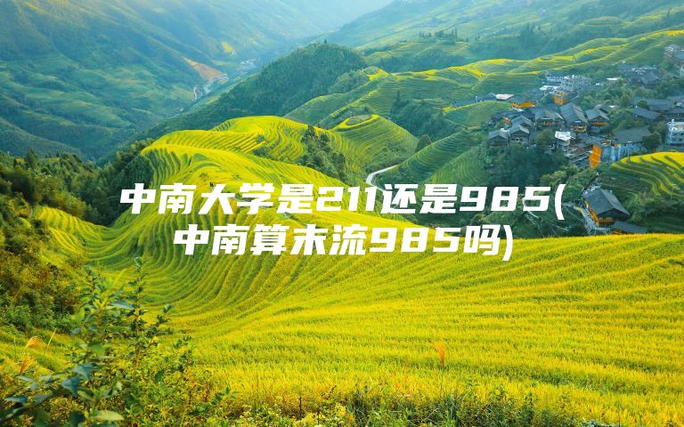 中南大学是211还是985(中南算末流985吗)