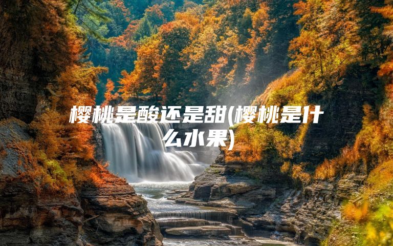 樱桃是酸还是甜(樱桃是什么水果)