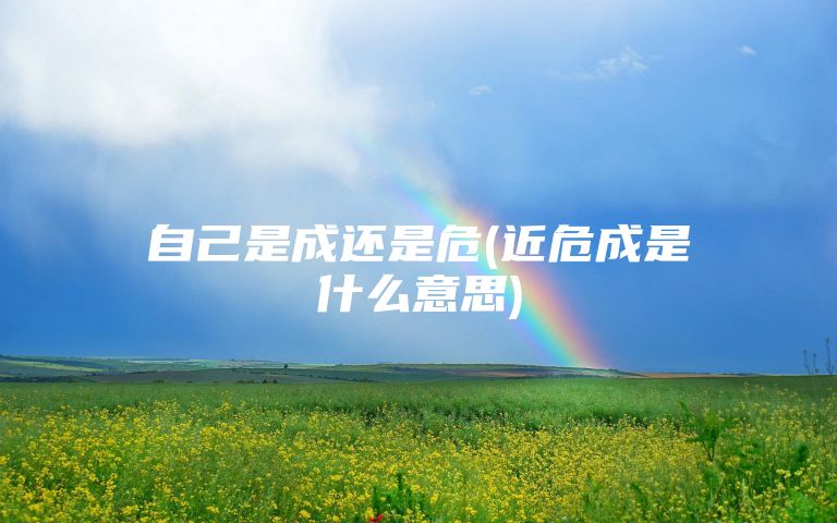 自己是成还是危(近危成是什么意思)