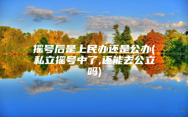 摇号后是上民办还是公办(私立摇号中了,还能去公立吗)