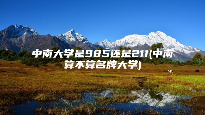 中南大学是985还是211(中南算不算名牌大学)