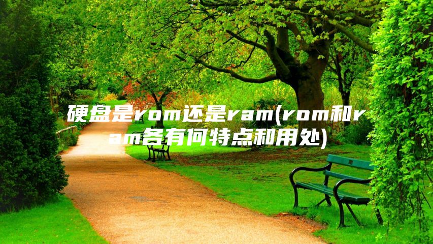 硬盘是rom还是ram(rom和ram各有何特点和用处)