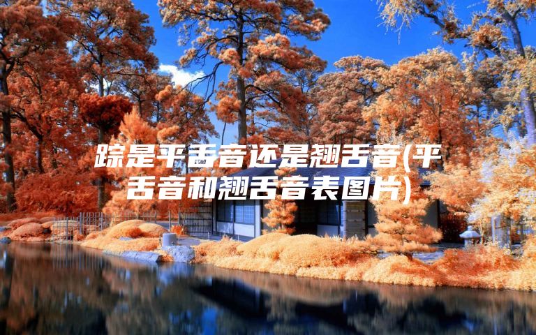 踪是平舌音还是翘舌音(平舌音和翘舌音表图片)