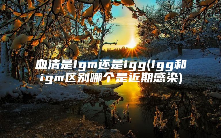 血清是igm还是igg(igg和igm区别哪个是近期感染)