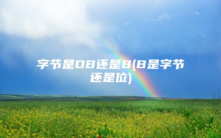 字节是DB还是B(B是字节还是位)