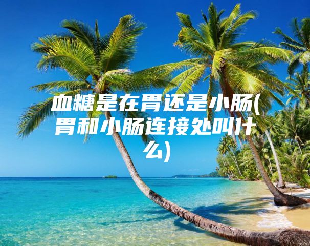 血糖是在胃还是小肠(胃和小肠连接处叫什么)