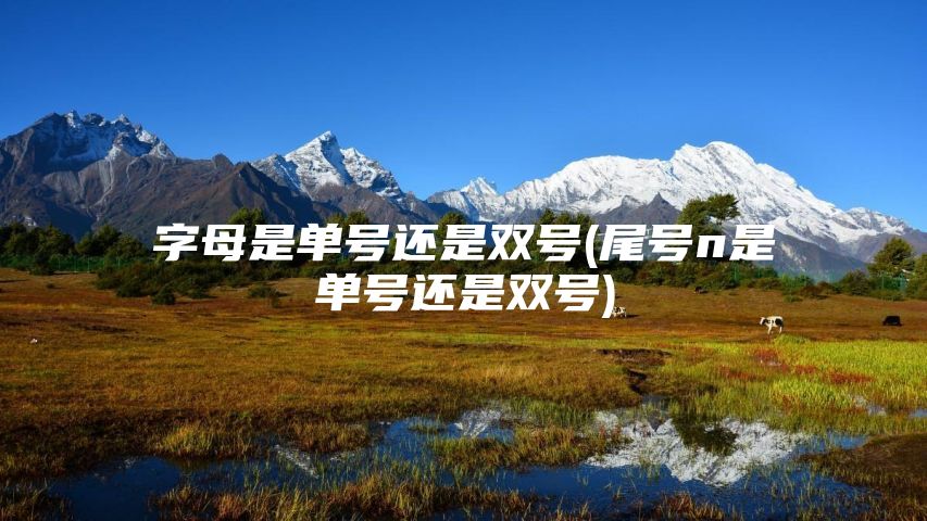 字母是单号还是双号(尾号n是单号还是双号)