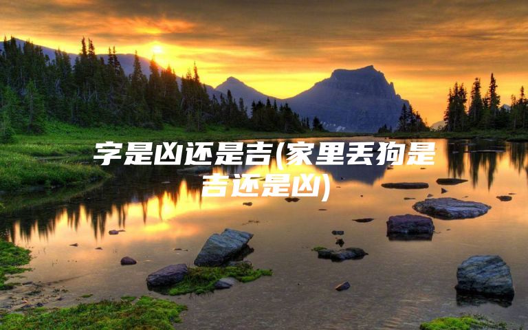 字是凶还是吉(家里丢狗是吉还是凶)