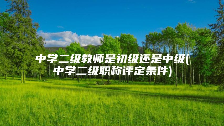 中学二级教师是初级还是中级(中学二级职称评定条件)