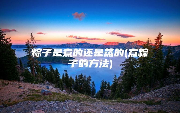 粽子是煮的还是蒸的(煮粽子的方法)