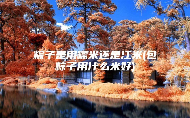 粽子是用糯米还是江米(包粽子用什么米好)