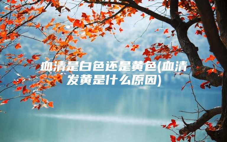 血清是白色还是黄色(血清发黄是什么原因)