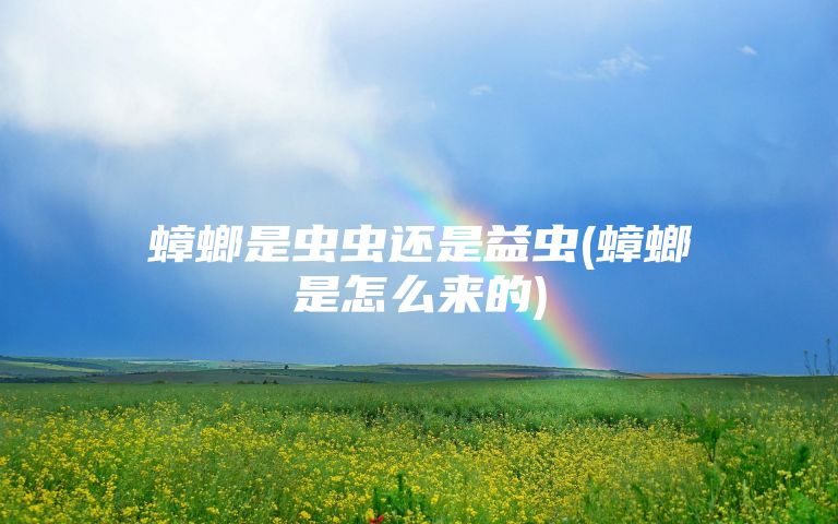 蟑螂是虫虫还是益虫(蟑螂是怎么来的)