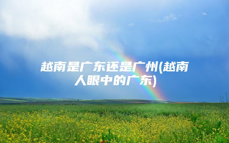 越南是广东还是广州(越南人眼中的广东)