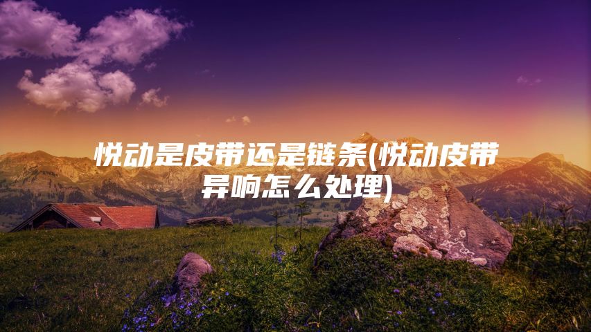 悦动是皮带还是链条(悦动皮带异响怎么处理)