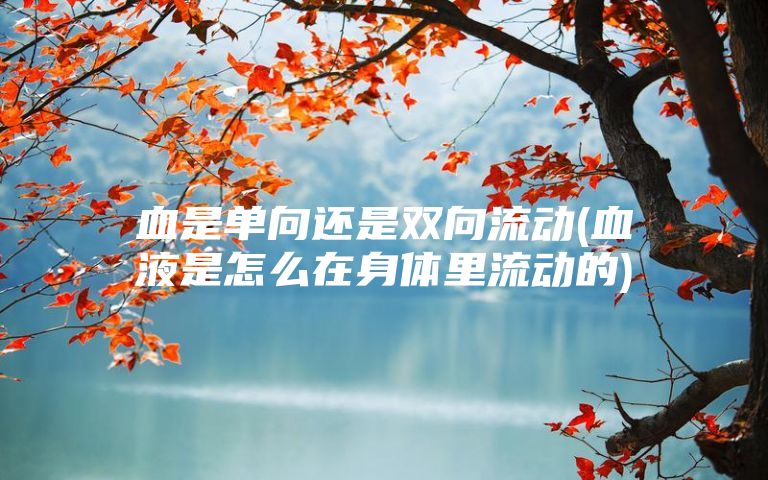 血是单向还是双向流动(血液是怎么在身体里流动的)