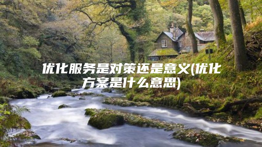 优化服务是对策还是意义(优化方案是什么意思)