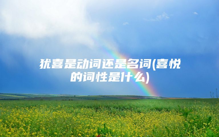 犹喜是动词还是名词(喜悦的词性是什么)