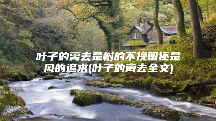 叶子的离去是树的不挽留还是风的追求(叶子的离去全文)