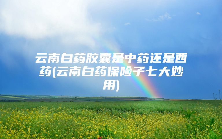 云南白药胶囊是中药还是西药(云南白药保险子七大妙用)