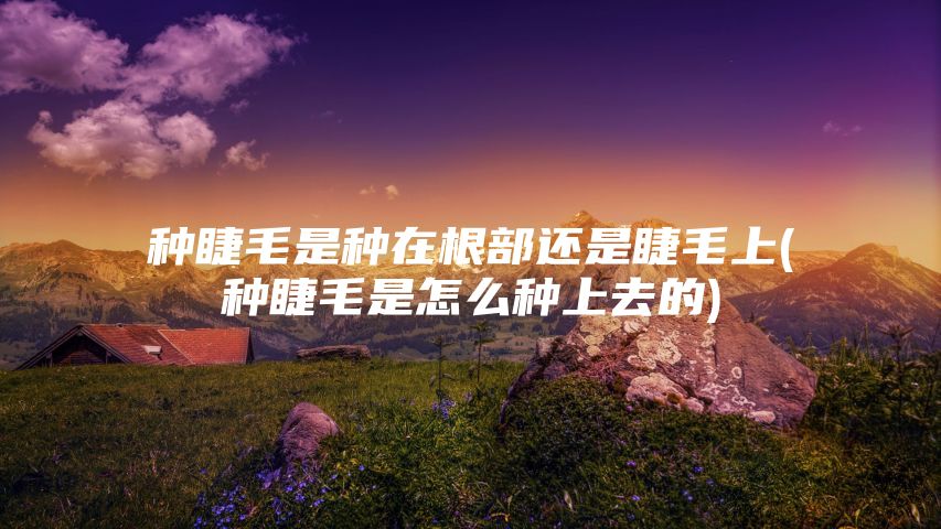 种睫毛是种在根部还是睫毛上(种睫毛是怎么种上去的)