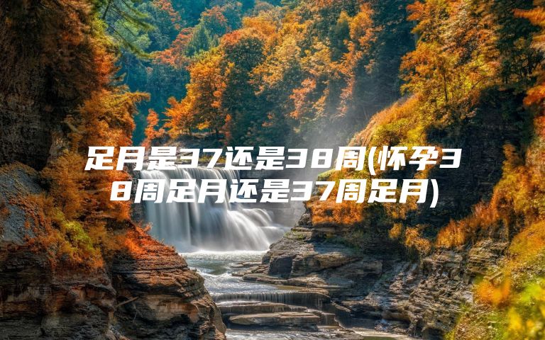 足月是37还是38周(怀孕38周足月还是37周足月)