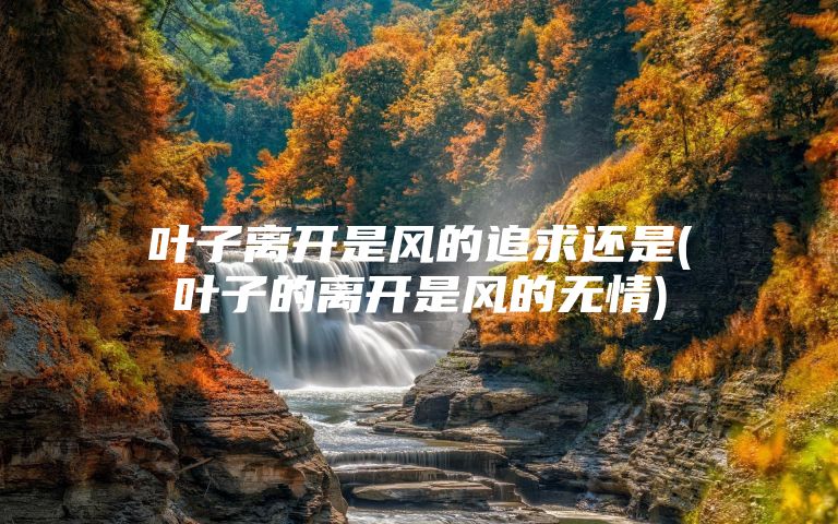 叶子离开是风的追求还是(叶子的离开是风的无情)