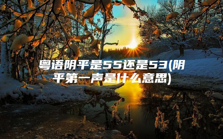 粤语阴平是55还是53(阴平第一声是什么意思)