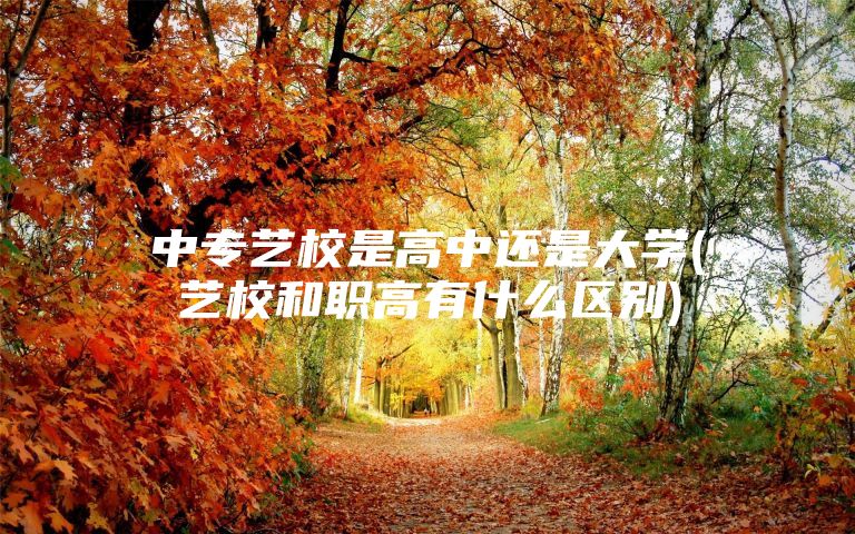 中专艺校是高中还是大学(艺校和职高有什么区别)