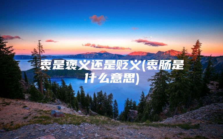 衷是褒义还是贬义(衷肠是什么意思)