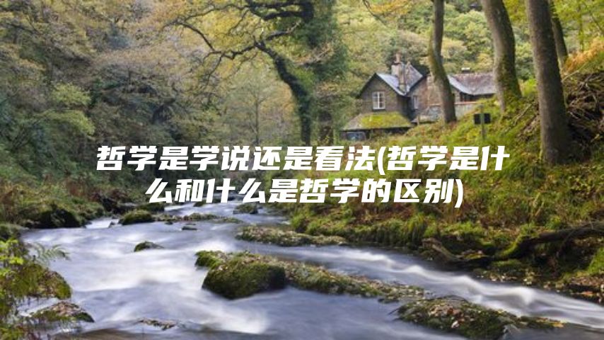 哲学是学说还是看法(哲学是什么和什么是哲学的区别)