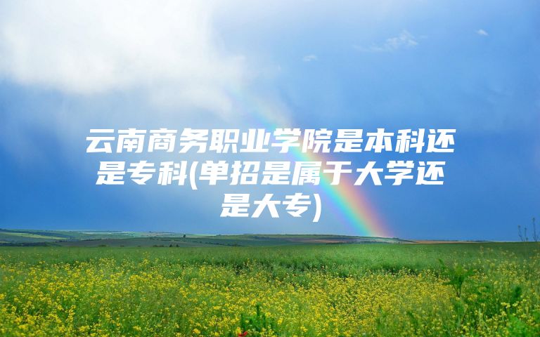 云南商务职业学院是本科还是专科(单招是属于大学还是大专)