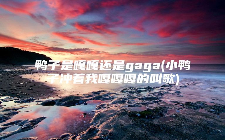 鸭子是嘎嘎还是gaga(小鸭子冲着我嘎嘎嘎的叫歌)