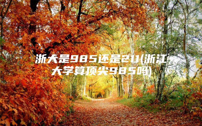 浙大是985还是211(浙江大学算顶尖985吗)