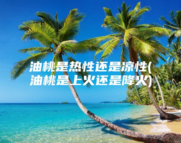 油桃是热性还是凉性(油桃是上火还是降火)