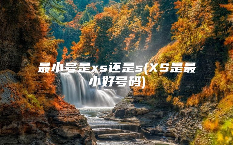 最小号是xs还是s(XS是最小好号码)