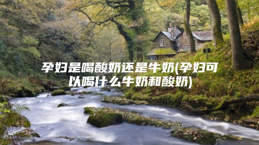 孕妇是喝酸奶还是牛奶(孕妇可以喝什么牛奶和酸奶)