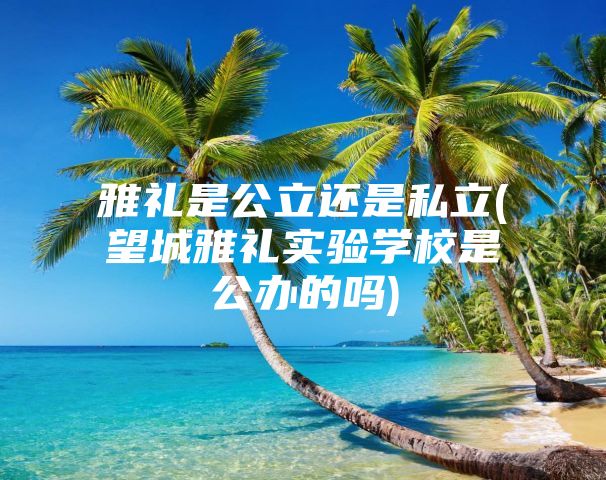 雅礼是公立还是私立(望城雅礼实验学校是公办的吗)