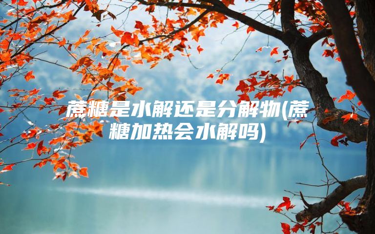 蔗糖是水解还是分解物(蔗糖加热会水解吗)