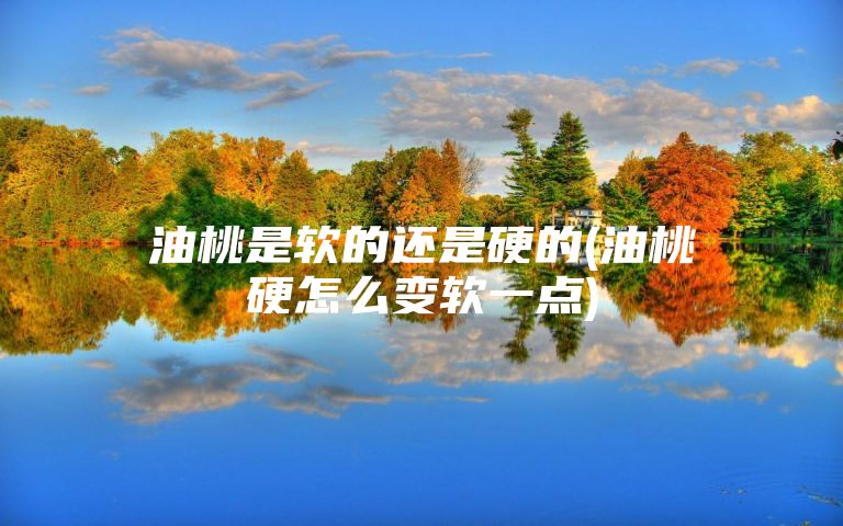 油桃是软的还是硬的(油桃硬怎么变软一点)