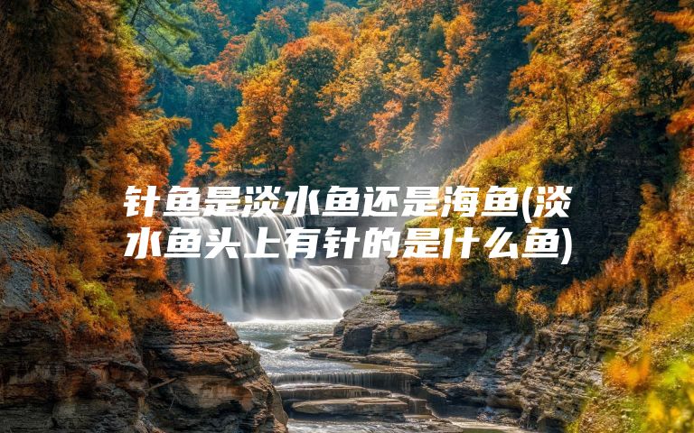 针鱼是淡水鱼还是海鱼(淡水鱼头上有针的是什么鱼)