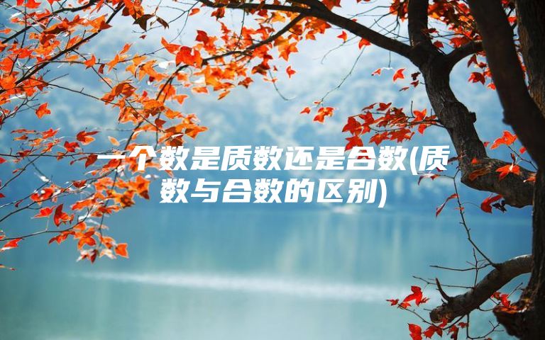 一个数是质数还是合数(质数与合数的区别)