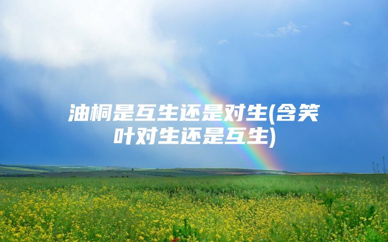 油桐是互生还是对生(含笑叶对生还是互生)