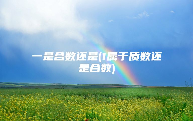 一是合数还是(1属于质数还是合数)