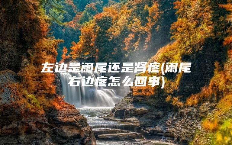 左边是阑尾还是肾疼(阑尾右边疼怎么回事)