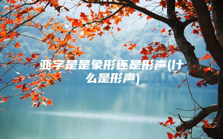 亚字是是象形还是形声(什么是形声)